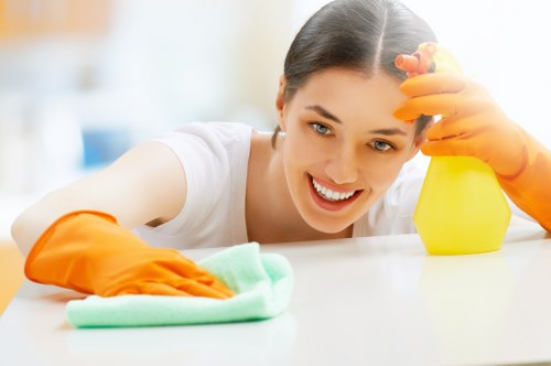 Pet stain removal and prevention in Islington