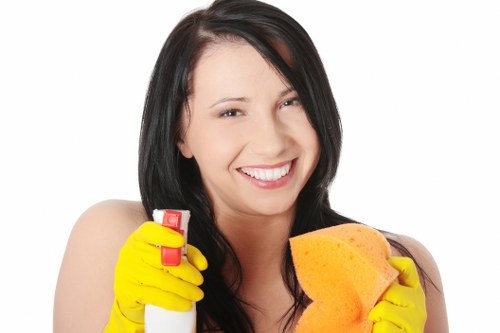 Stain removal treatment for fabric sofa in Islington